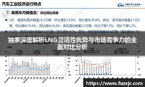 独家深度解析LNG灵活性优势与市场竞争力的全面对比分析